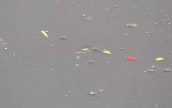 野钓用七星漂好还是立漂好?