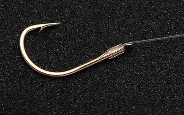 0.2号子线可以钓多大鱼?