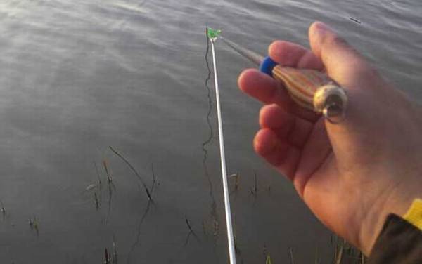 台钓为什么要压线?