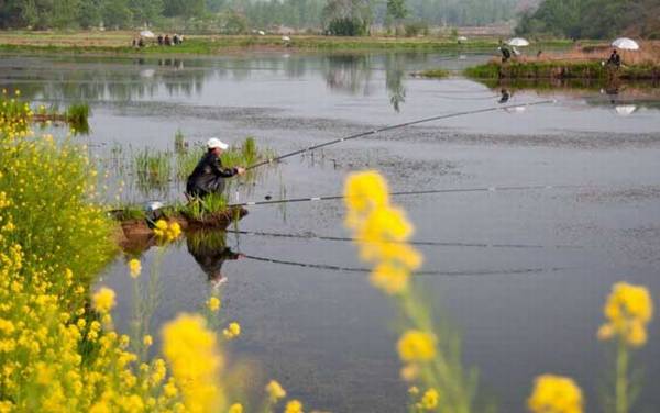 春季钓鱼有哪些技巧?