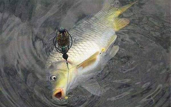 钓鱼怎么调漂和找底?