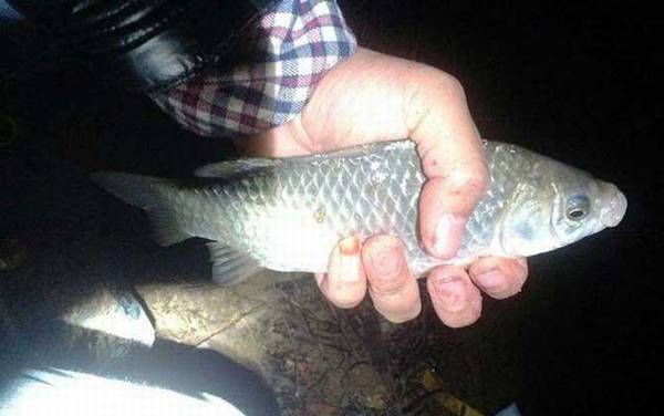 钓鱼怎么调漂和找底?