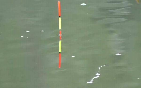 台钓调漂带钩还是不带钩?