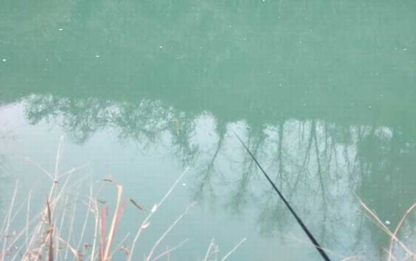 春天钓深水还是浅水?