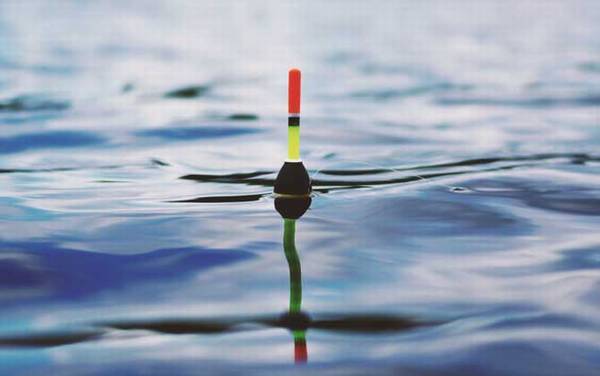 夏天钓鱼怎么选钓位?