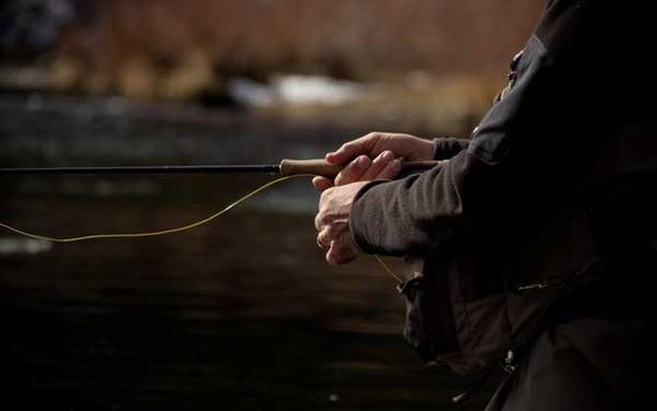 夏天钓深水还是浅水?
