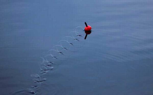 夏天钓深水还是浅水?