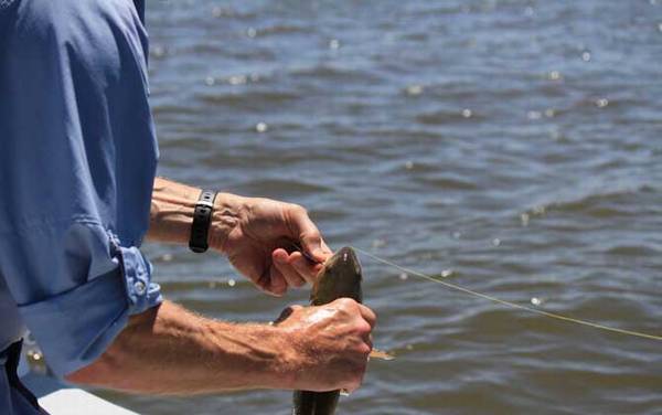 夏天钓深水还是浅水?