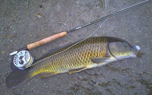 矶钓怎么选择钓位?