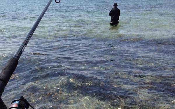 矶钓怎么选择钓位?