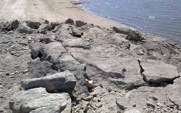 轻型矶钓有什么技巧?