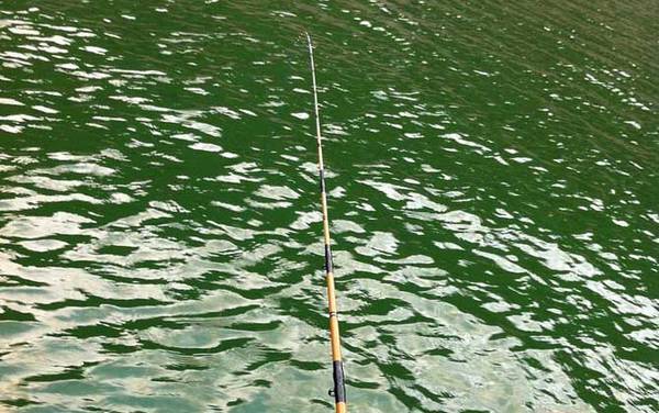 筏钓实用技巧大全