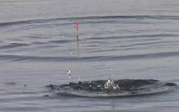 冬季钓鱼打窝打多少合适?