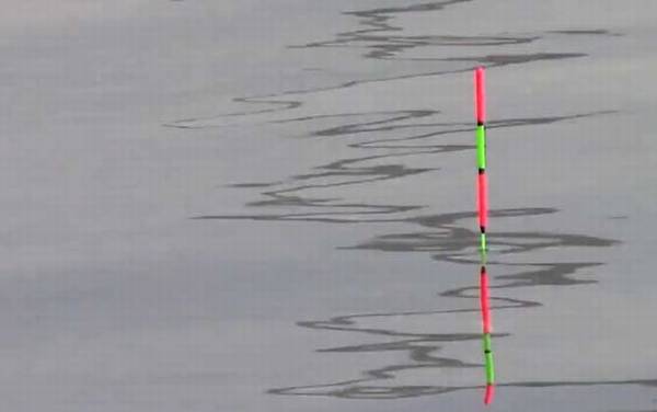 冬季钓鱼好钓吗?