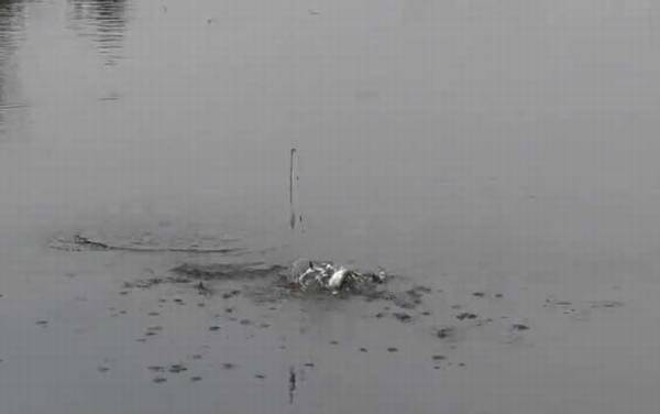 四月钓鱼选择什么位置最好?