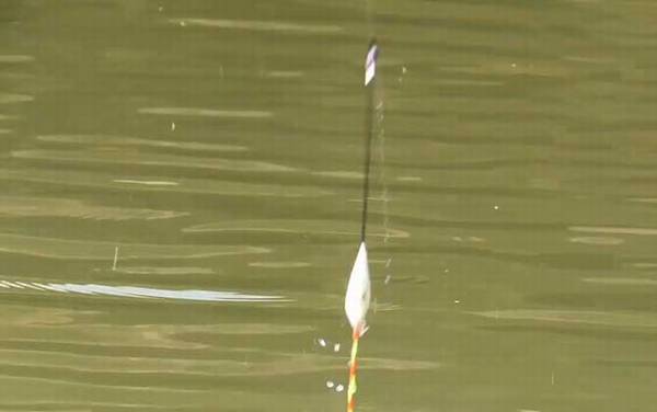 四月钓鱼选择什么位置最好?