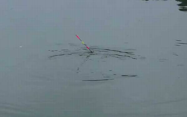 夏季钓鱼选择什么位置最好?