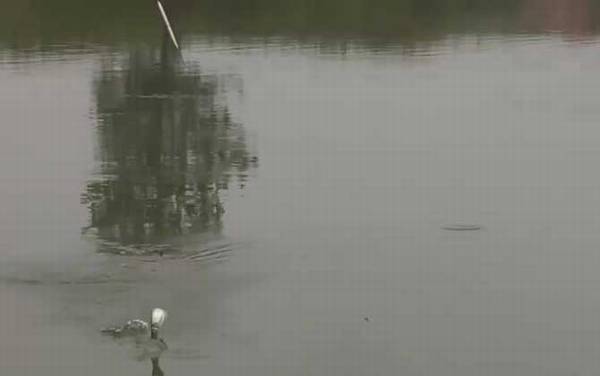 夏天40度高温怎么钓鱼?