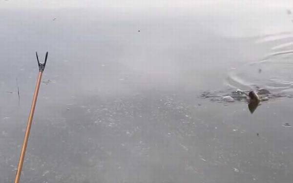 六月钓鱼什么时间最好?