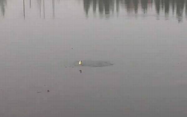 五月野钓技巧及方法