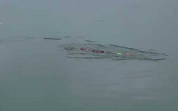 七月钓鱼最佳时间是什么时候?