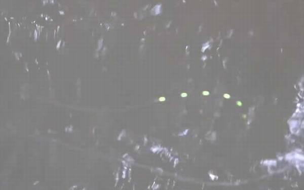 深秋钓鱼什么时间段比较好?