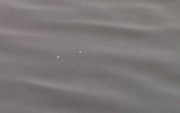 秋季钓鱼技巧和方法