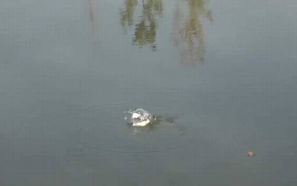 秋季钓鱼如何选钓位?