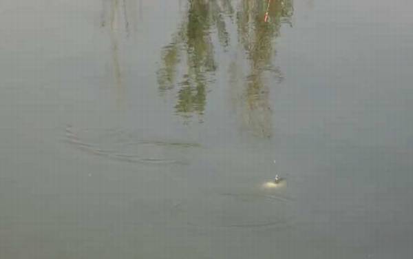 八月钓鱼什么时间段好?