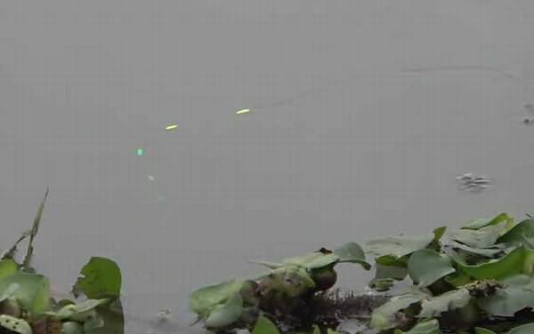 初冬钓鱼天气怎么选择?