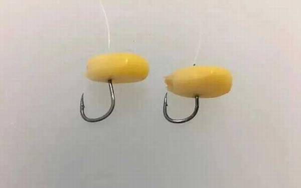 玉米适合什么季节钓鱼?