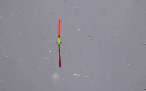 早春钓鱼怎么选钓位?