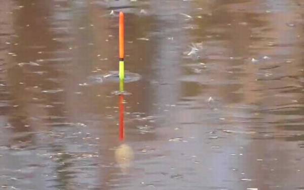 早春钓鱼怎么选钓位?