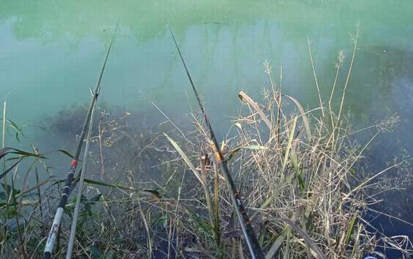 初春钓鱼最佳气温多少度?