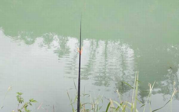 初春钓鱼最佳气温多少度?