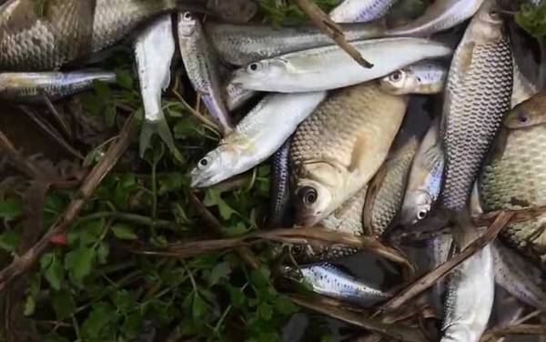 春季钓鱼钓深还是钓浅?