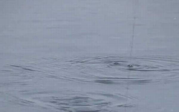 春季钓鱼的技巧和方法