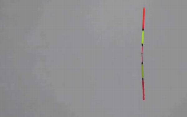 春天钓鱼的口诀及解释