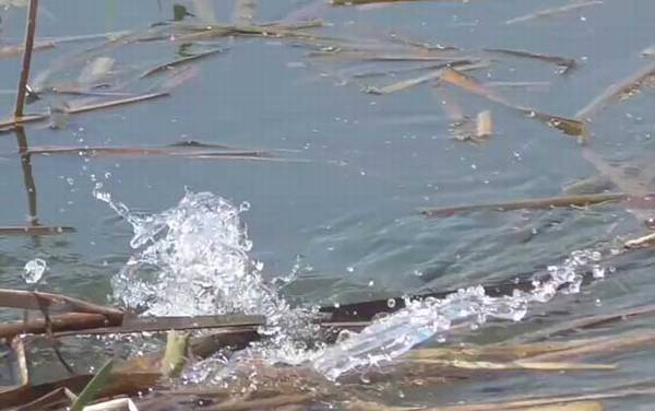 春季钓鱼在上风还是下风?