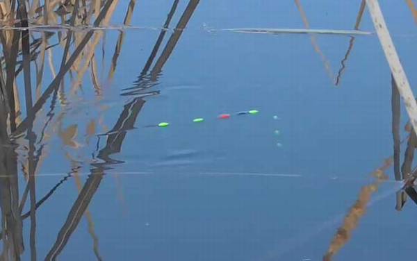 为什么春季中午钓鱼没有口?