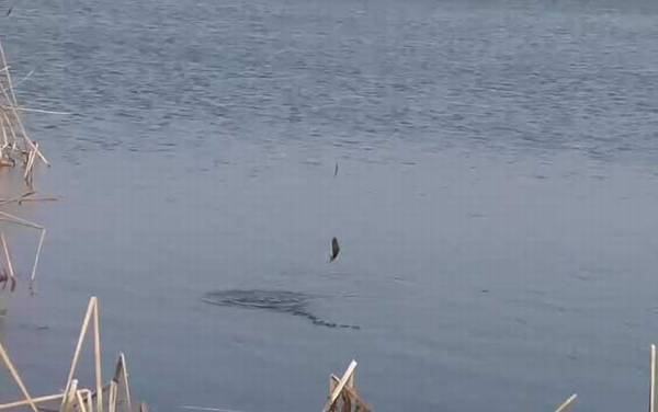 春季钓鱼选择什么位置最好?