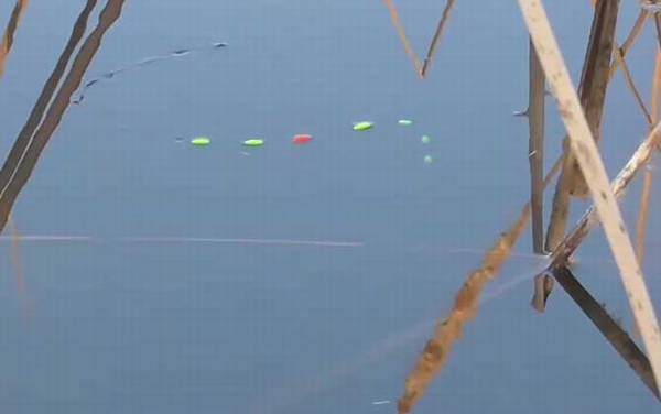 春天钓鱼打窝有什么讲究?