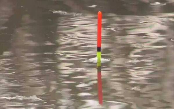 春天钓鱼打窝有什么讲究?