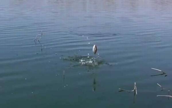 二月钓鱼的技巧和方法