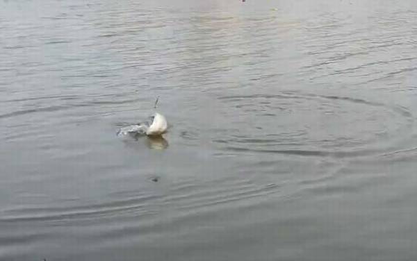 二月份适合钓鱼吗?