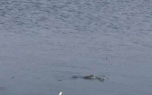 二月钓鱼的技巧和方法