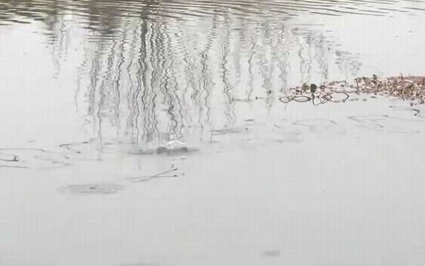 二月钓鱼最佳时间是什么时候?