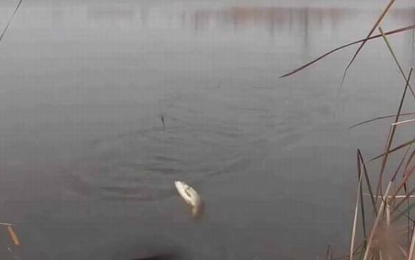 二月份适合钓鱼吗?