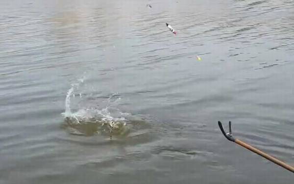 二月钓鱼钓深还是钓浅?