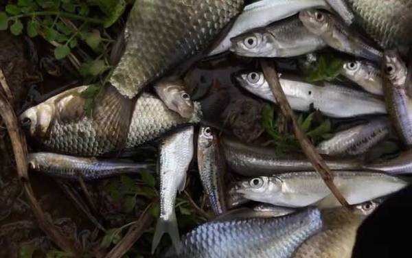 二月份钓鱼钓边还是钓中间?